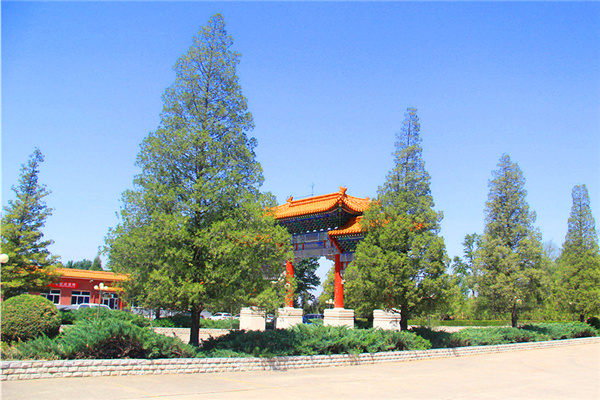 张家口市怀来县中华永久陵园生态葬详情-树葬、花坛葬介绍及价格多少