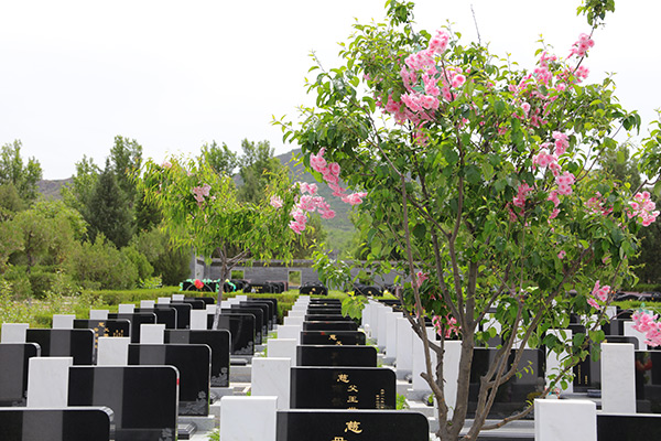 中华永久陵园价格多少钱？中华永久陵园2025年11月最新价格一览表