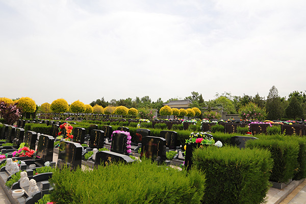 实地探访中华永久陵园：环境绿化与园区设施全解析