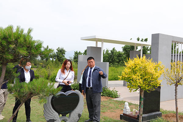 我的寻墓记：从昌平失望到怀来中华永久陵园的惊喜，三万多的满意选择