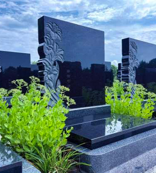 中华2号园E甲区合韵