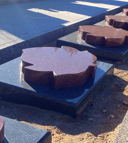 海棠苑捌B区生态卧碑