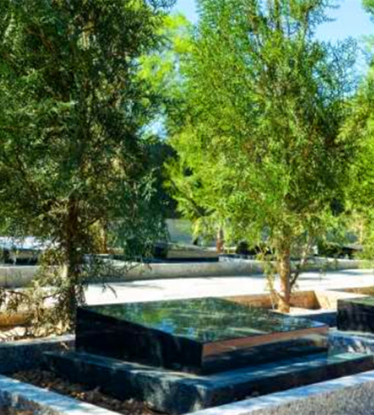 中华2号园树葬一