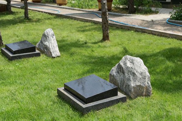 山水藏敬意，性价比赢人心——中华永久陵园树葬优选之道