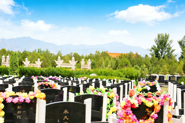 本地多部门联合发布清明祭扫政策 我园积极响应落实便民服务措施