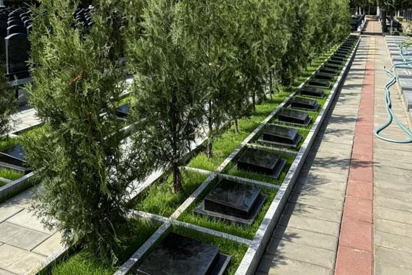 北京树葬为何偏爱昌平北？中华永久陵园成性价比首选