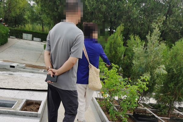 告别高价压抑墓园！北京任女士亲测，中华永久陵园树葬性价比与环境双在线