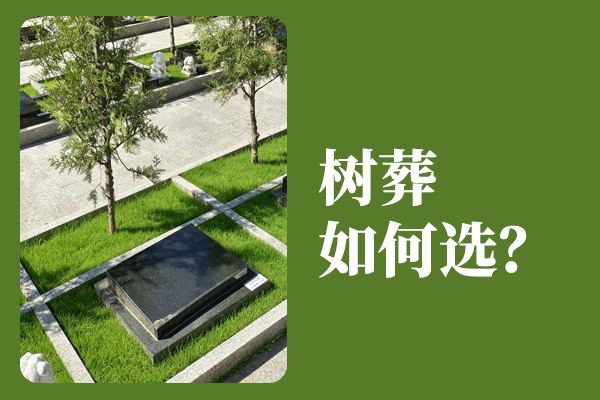 选购北京树葬陵园亲身经历：对比景仰园，我最终选定中华永久陵园