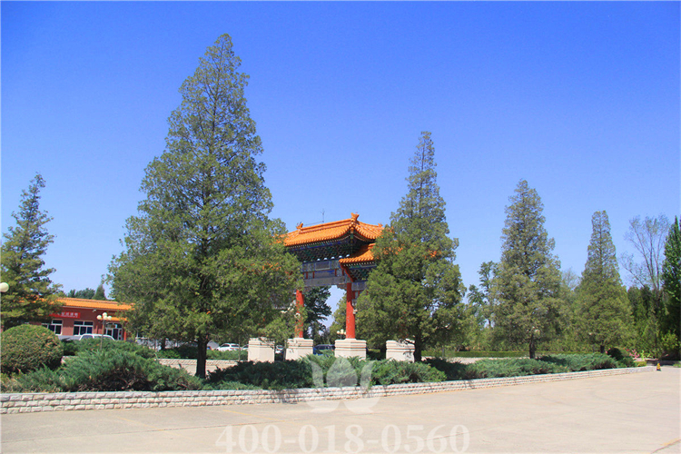 中华永久