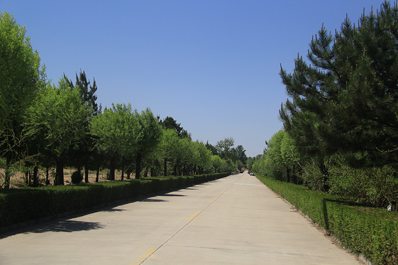 园区道路
