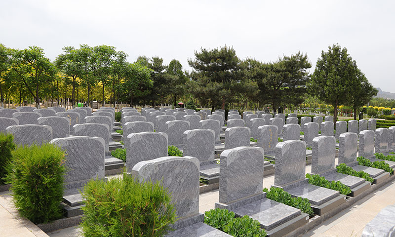 中华永久陵园立碑展示