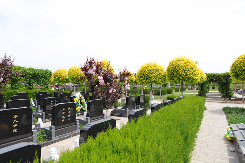 墓区绿化