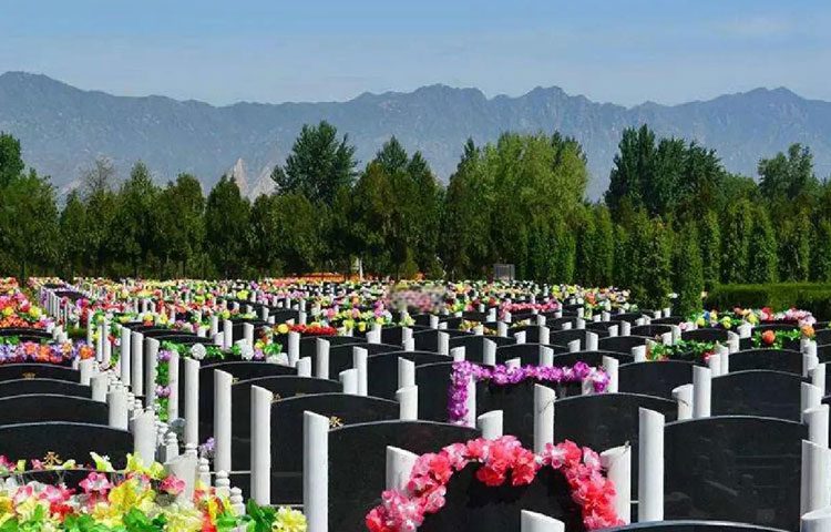 中华永久陵园墓区环境