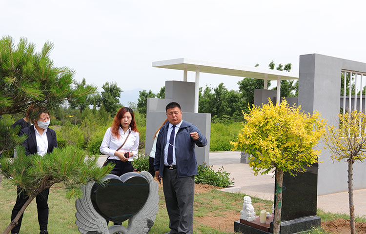 中华永久陵园业务经理向客户介绍墓型