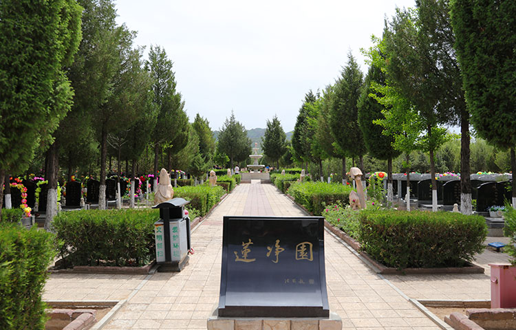 中华永久陵园墓区随拍