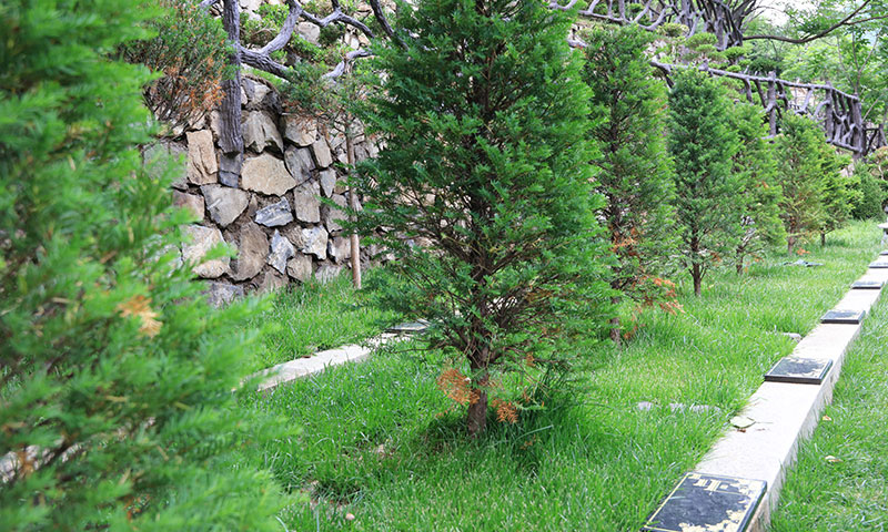 九公山长城纪念树葬-翠影,105000元