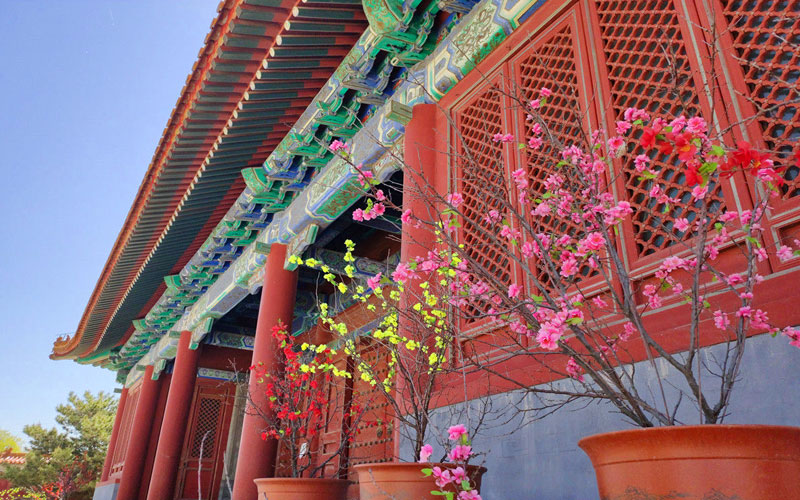 中华永久陵园环境实拍