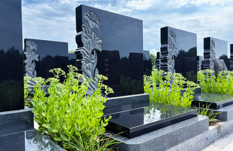 中华2号园E甲区立碑-63800元