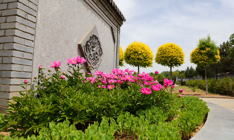 中华永久陵园墓区环境实拍图