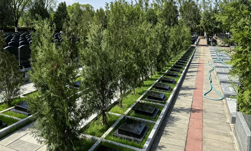 中华永久陵园一树一碑树葬25800元-致电010-89177864了解