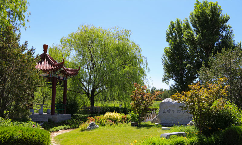 中华永久陵园六月景观实拍